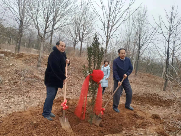 中華父親山下的紅豆杉(圖9)