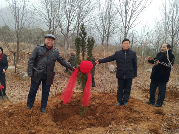 中華父親山下的紅豆杉(圖11)