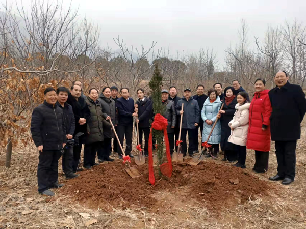 中華父親山下的紅豆杉(圖5)