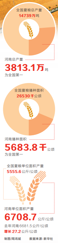 豐收啦！2022年河南夏糧總產量和播種面積均居全國首位